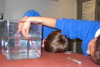 [Alternative Settings for Placements]